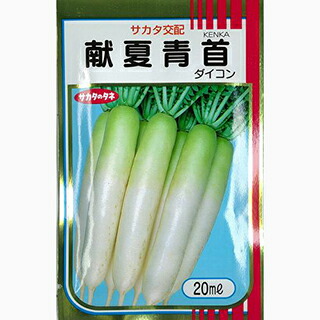 楽天市場 大根 種 献夏青首 種子 ペレット５千粒 種 野菜 野菜種子 野菜種 菜園くらぶ 家庭菜園の専門店