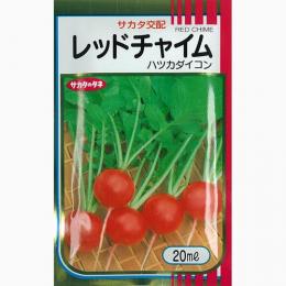 廿日大根 種 【 レッドチャイム 】 種子 2dl缶 （ 種 野菜 野菜種子 野菜種 ）