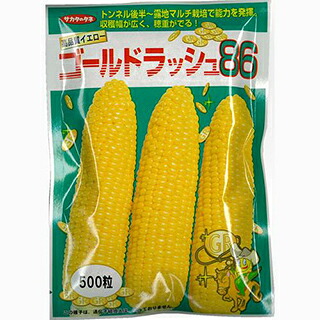とうもろこし 種 【ゴールドラッシュ８６】 2,000粒 （ 種 野菜 野菜種子 野菜種 ） ★