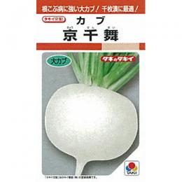 小僧 種 【 京千舞 】 内果皮 1デシリットル缶 （ 種 草片 草片内果皮 草片種 ）