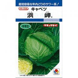 玉菜 種 【 浜岬 】 内果皮 L5千粒 （ 種 蔬菜 蔬菜内果皮 蔬菜種 ）