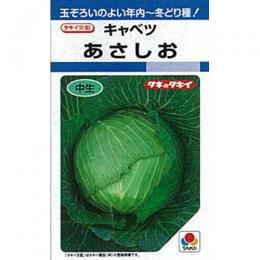 球菜 種 【 あさしお 】 内果皮 L5千粒 （ 種 草片 草片内果皮 草片種 ）