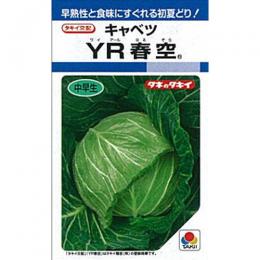 玉菜 種 【 YR春空 】 内果皮 L5千粒 （ 種 蔬菜 蔬菜内果皮 蔬菜種 ）
