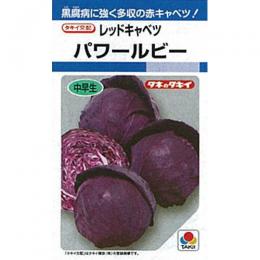 楽天市場】キャベツ 種 【 とくみつ 】 3000粒 ( キャベツの種