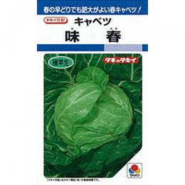 玉菜 種 【 味春 】 内果皮 L5千粒 （ 種 蔬菜 蔬菜内果皮 蔬菜種 ）