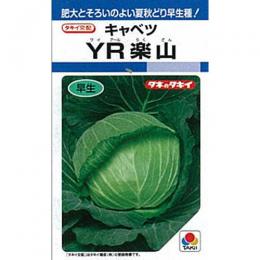 玉菜 種 【 YR楽山 】 内果皮 L5千粒 （ 種 蔬菜 蔬菜内果皮 蔬菜種 ）
