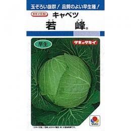 球菜 種 【 若峰 】 内果皮 L5千粒 （ 種 草片 草片内果皮 草片種 ）
