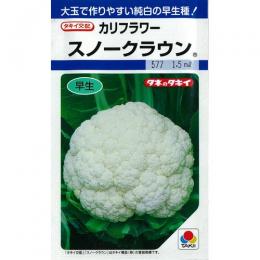 カリフラワー 種 【 スノークラウン 】 内果皮 L5千粒 （ 種 蔬菜 蔬菜内果皮 蔬菜種 ）