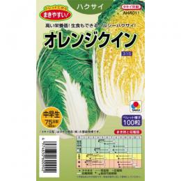 白菜 種 【 オレンジ色クイン 】 内果皮 L5千粒 （ 種 蔬菜 蔬菜内果皮 蔬菜種 ）