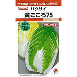 白菜 種 黄ごころ75 種子 L5千粒 種 野菜 野菜種子 野菜種 Tajikhome Com