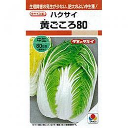 1dl 家庭菜園 苗木 白菜 野菜の種子 種 菜園くらぶ 野菜種子 黄ごころ80 苗 種 農業用 資材 野菜種子 種 ガーデニング 1dl 菜園くらぶ 野菜 野菜種 家庭菜園の専門店 園芸用品