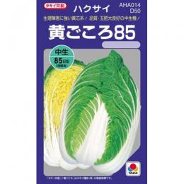 白菜 白菜 種 黄ごころ85 種子 野菜種 1dl 種 野菜 野菜種子 野菜種 菜園くらぶ 家庭菜園の専門店 ガーデニング 家庭菜園 種 苗 苗木 園芸用品 農業用 資材 菜園くらぶ