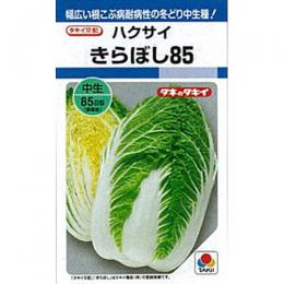 白菜 種 【 きらぼし85 】 内果皮 L5千粒 （ 種 草片 草片内果皮 草片種 ）