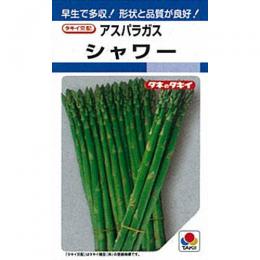アスパラガス 種 【 シャワー 】 種子 20ml （ 種 野菜 野菜種子 野菜種 ）