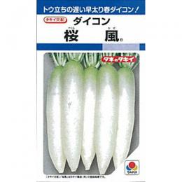 大根役者 種 【 桜風 】 内果皮 2デシリットル缶 （ 種 蔬菜 蔬菜内果皮 蔬菜種 ）