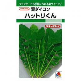 葉大根 種 【 ハットリくん 】 種子 1L （ 種 野菜 野菜種子 野菜種 ）