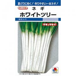 ネギ 種 【 ホワイトツリー 】 種子 2dl （ 種 野菜 野菜種子 野菜種 ）