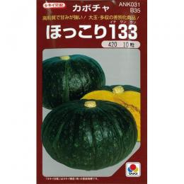 かぼちゃ 種 【ほっこり133】 500粒 （ 種 野菜 野菜種子 野菜種 ）