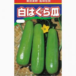 ウリ 物種 白みはぐらメロン 内果皮 1dl 種 ベジタブル 野菜種子 野菜種 Civilservicetravel Co Zw