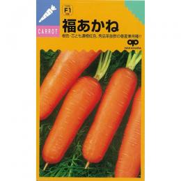 にんじん 種 【 福あかね 】 種子 2dl （ 種 野菜 野菜種子 野菜種 ）