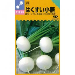 小僧 種 【 はくすい小蕪 】 内果皮 2デシリットル （ 種 蔬菜 蔬菜内果皮 蔬菜種 ）