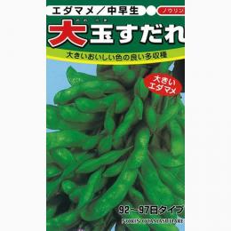 枝豆 種 【 大玉すだれ 】 種子 1L （ 種 野菜 野菜種子 野菜種 ）