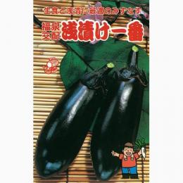 なす 種 【浅漬一番】 20ml （ 種 蔬菜 蔬菜内果皮 蔬菜種 ）