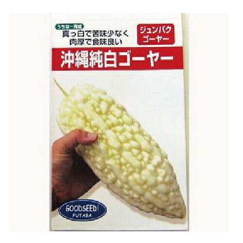 ゴーヤ 種 【沖縄純一無雑ゴーヤー】 1L （ 種 草片 草片内果皮 草片種 ）