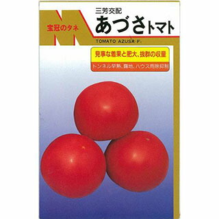 大玉トマト 種 【あづさ】 20ml （ 種 野菜 野菜種子 野菜種 ）
