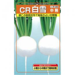 少年 種 【 CR白雪中蕪 】 内果皮 1デシリットル缶 （ 種 蔬菜 蔬菜内果皮 蔬菜種 ）