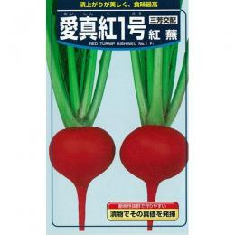 少年 種 【 愛真紅1号蕪 】 内果皮 2デシリットル缶 （ 種 蔬菜 蔬菜内果皮 蔬菜種 ）