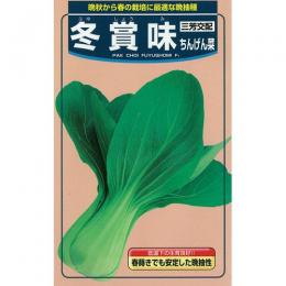 ちんげん菜 種 【 冬面白がる 】 内果皮 2デシリットル （ 種 蔬菜 蔬菜内果皮 蔬菜種 ）