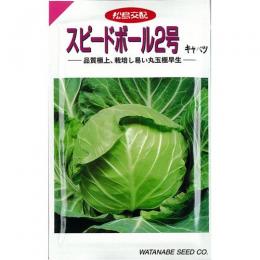 キャベツ 種 【 スピードボール2号 】 種子 20ml （ 種 野菜 野菜種子 野菜種 ）
