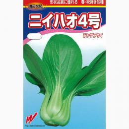 ちんげん菜 種 【 ニイハオ4号 】 内果皮 2デシリットル （ 種 蔬菜 蔬菜内果皮 蔬菜種 ）