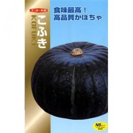 かぼちゃ 種 【こふき】 500粒 （ 種 蔬菜 蔬菜内果皮 蔬菜種 ）