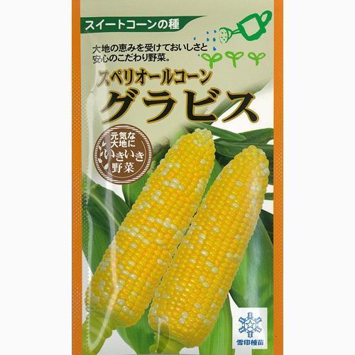 楽天市場】とうもろこし 種 【ミルキースイーツ】 2,000粒 （ 種