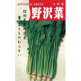 【 野沢菜 】 内果皮 1L （ 種 蔬菜 蔬菜内果皮 蔬菜種 ）