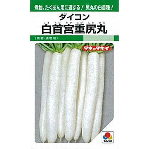 大根役者 種 【 かごの鳥宮重丸尻 】 内果皮 １Ｌ （ 種 蔬菜 蔬菜内果皮 蔬菜種 ）