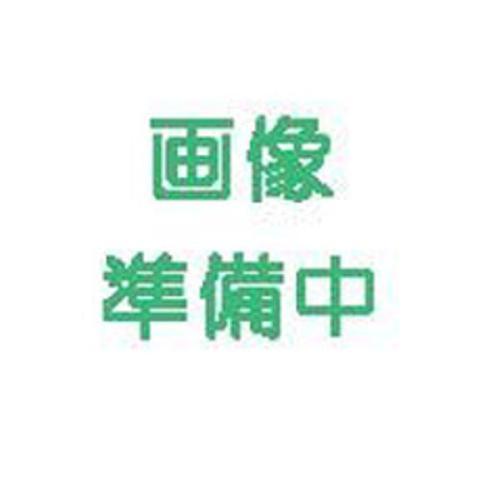 玉菜 種 【 青龍３４５ 】 内果皮 厚地の外套５０００粒 （ 種 蔬菜 蔬菜内果皮 蔬菜種 ）