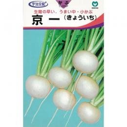 坊や 種 【 京一 】 内果皮 2デシリットル缶 （ 種 蔬菜 蔬菜内果皮 蔬菜種 ）