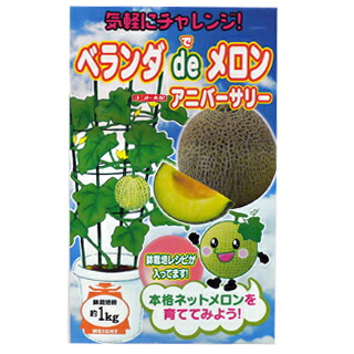 メロン 種 【アニバーサリー】 100粒 （ 種 野菜 野菜種子 野菜種 ）