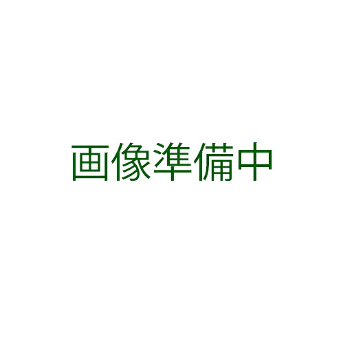 萵苣 種 【 ハンザムレッド１号 】 内果皮 Ｌ厚地の外套五千粒瓶 （ 種 草片 草片内果皮 草片種 ）