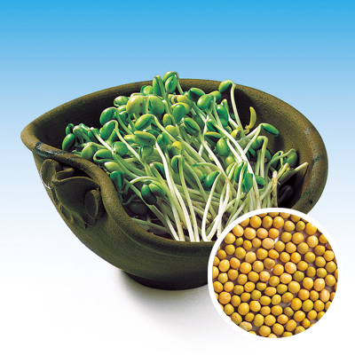 豆もやし様 マルトネットスーパー店 / 富士食品 黒豆もやし 200g