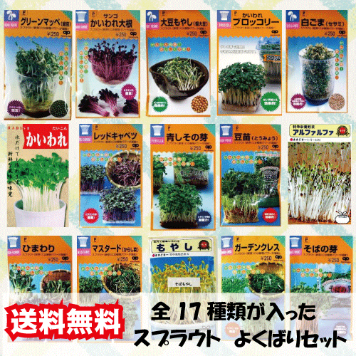 楽天市場 送料無料 スプラウト 17種類すべてが入った よくばりセット 種 販売 通販 菜園くらぶ 家庭菜園の専門店