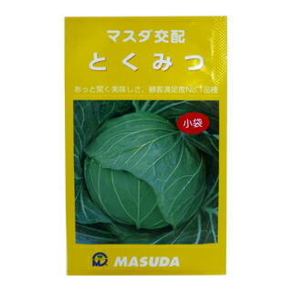 MASUDA とくみつ キャベツの種 3000粒 キャベツの種【とくみつ】〔F1〕 - 種の専門店 松尾農園