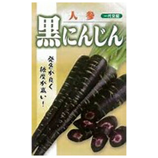 楽天市場】にんじん 種 【 ブラックキャロット 】 種子 コート5千粒