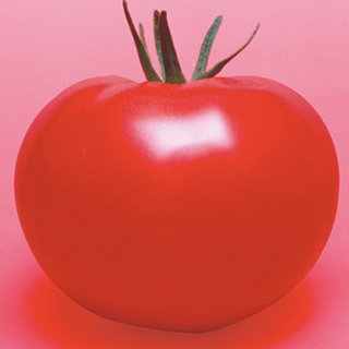 トマト 種 【 CF桃太郎はるか 】 1000粒 ( トマトの種 )|【菜園くらぶ】家庭菜園の専門店