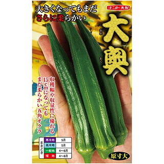 ガンボ 種 【 大奥 】 １万粒 ( ガンボの種 ) 野菜の種子-ガーデニング・農業-花・ガーデン・DIY