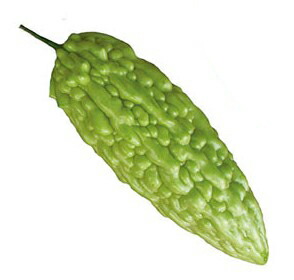 ゴーヤ 種 【島心（しまごころ）】 1L （ 種 草片 草片内果皮 草片種 ）