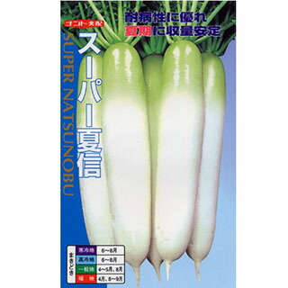 大根役者 種 【 百貨店夏信 】 内果皮 2デシリットル （ 種 蔬菜 蔬菜内果皮 蔬菜種 ）